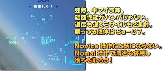 キマイラ隊はかなり手強いです。諦めずに追い回すのが勝利のコツ。