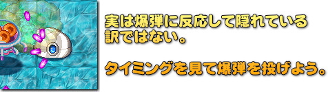 虫姫さま BUG PANIC　ヤドカリ