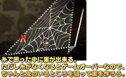 Spider 蜘蛛の巣の張り方がポイントです。