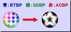 進化図：ホールド系