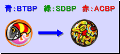 進化図：シンボル系