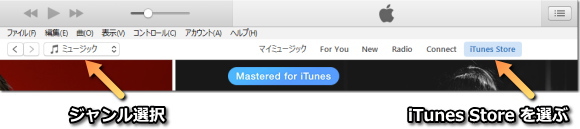 PC の iTunes Store