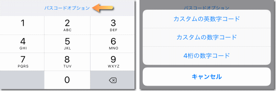 パスコードオプション