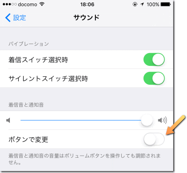 iPhone サウンドの設定画面