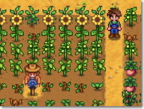 Stardew Valley